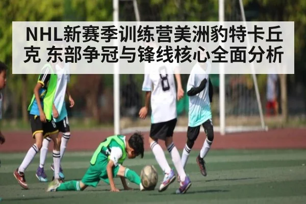 NHL新赛季训练营美洲豹特卡丘克 东部争冠与锋线核心全面分析
