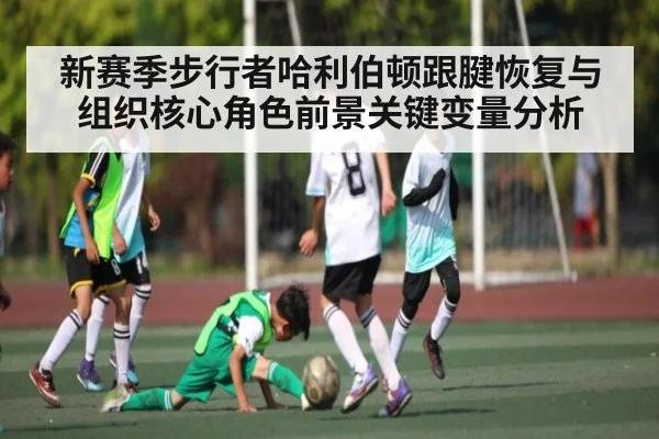 新赛季步行者哈利伯顿跟腱恢复与组织核心角色前景关键变量分析